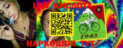 индика Кимры