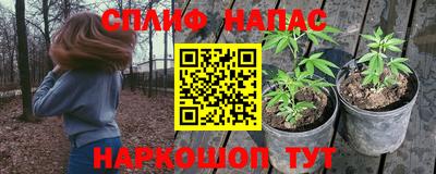 каннабис Кингисепп
