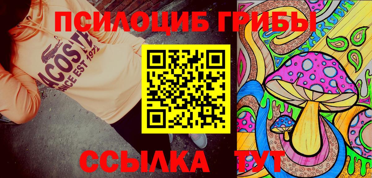 Улан-Удэ  Псилоцибиновые грибы Psilocybine cubensis  Вход с VPN 